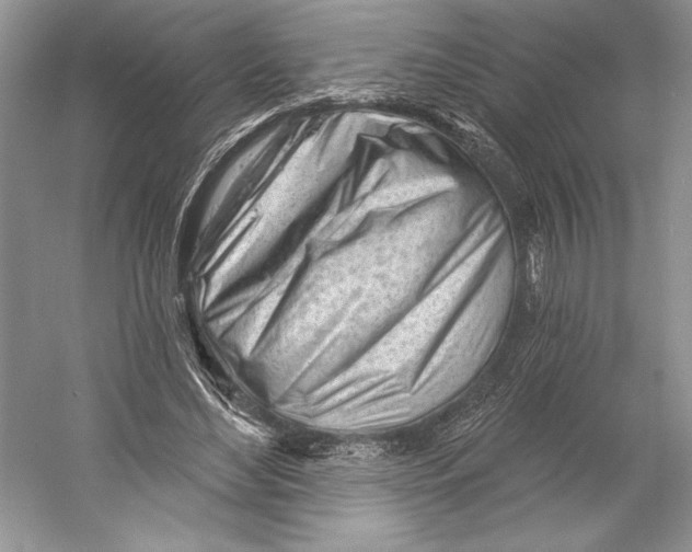 X0000052940492200508050859