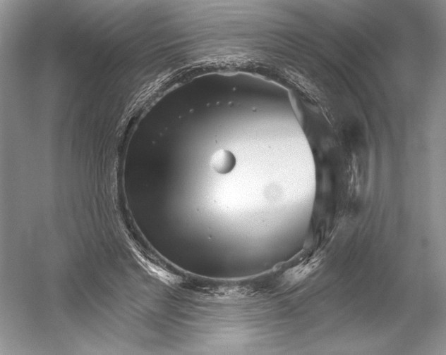 X0000052940493200508050859