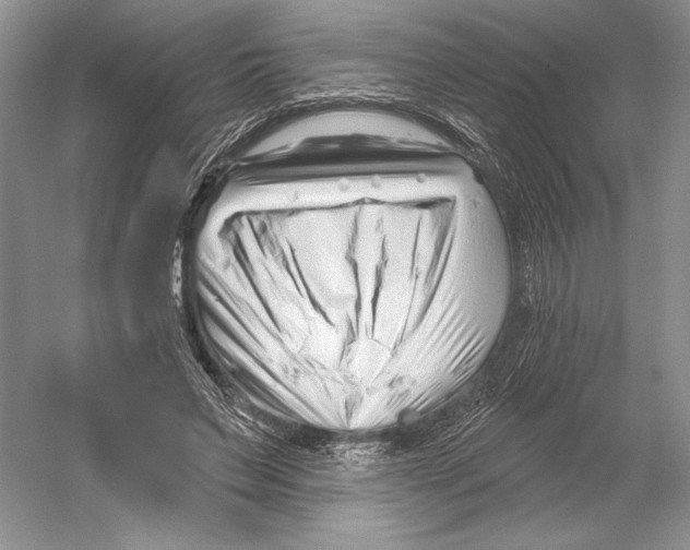 X0000052940495200508050859