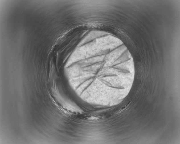 X0000052940496200508050859