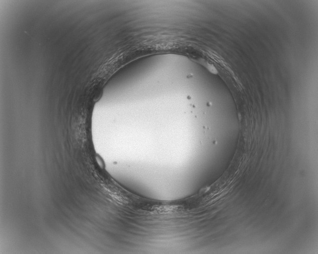 X0000052940497200508050859