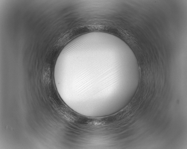 X0000052940498200508050859