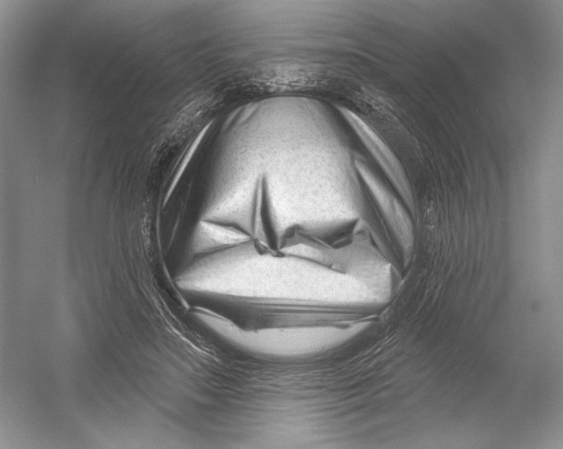 X0000052940499200508050859