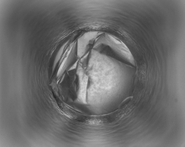 X0000052940500200508050859