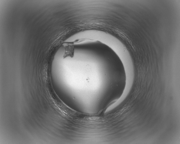 X0000052940501200508050859