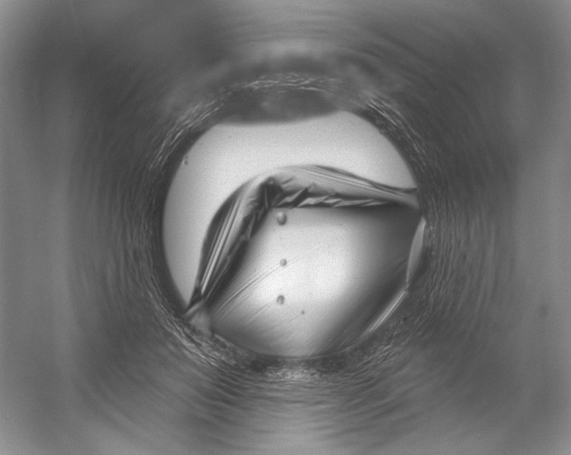 X0000052940503200508050859