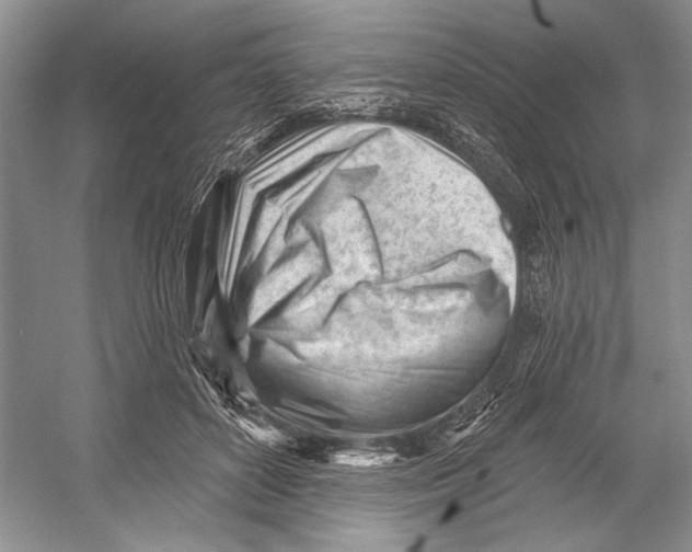 X0000052940504200508050859