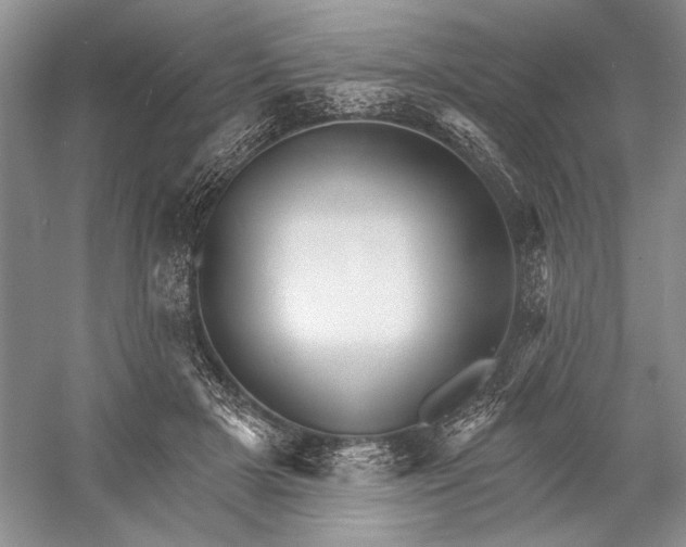 X0000052940505200508050859