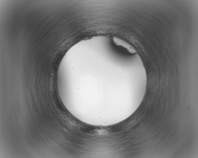 X0000052940509200508050859