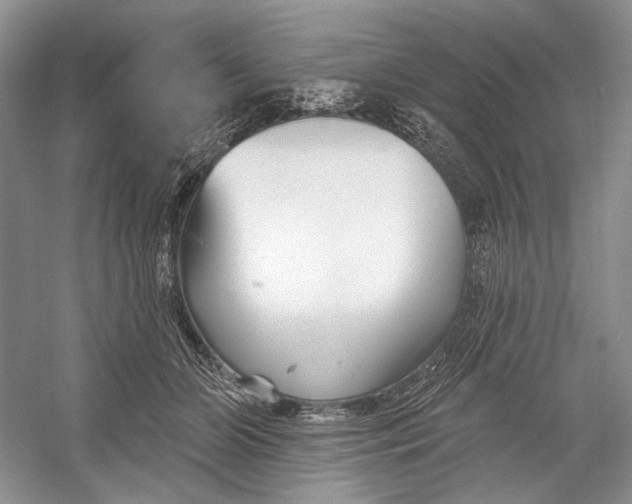 X0000052940510200508050859