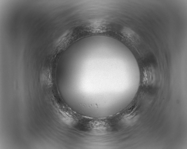 X0000052940512200508050859