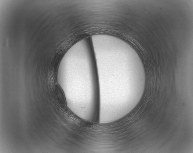 X0000052940513200508050859