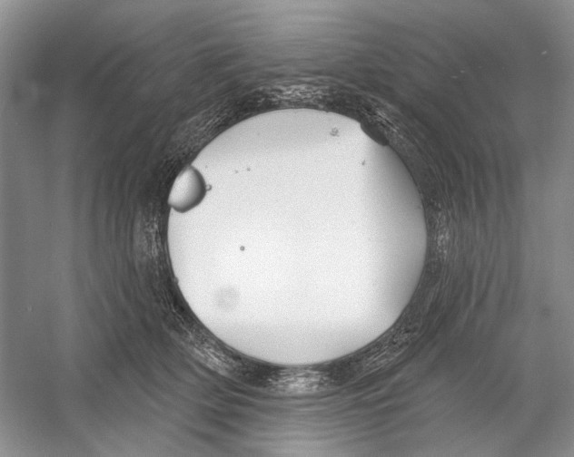 X0000052940514200508050859