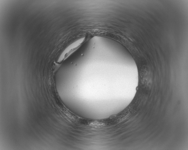 X0000052940515200508050859