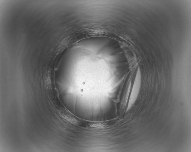 X0000052940516200508050859