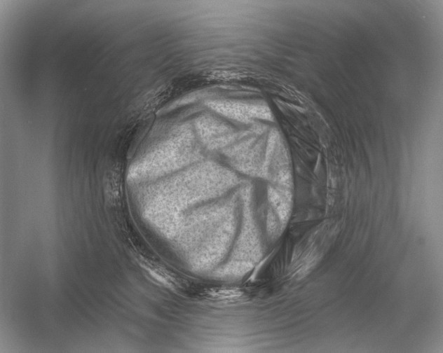 X0000052940517200508050859