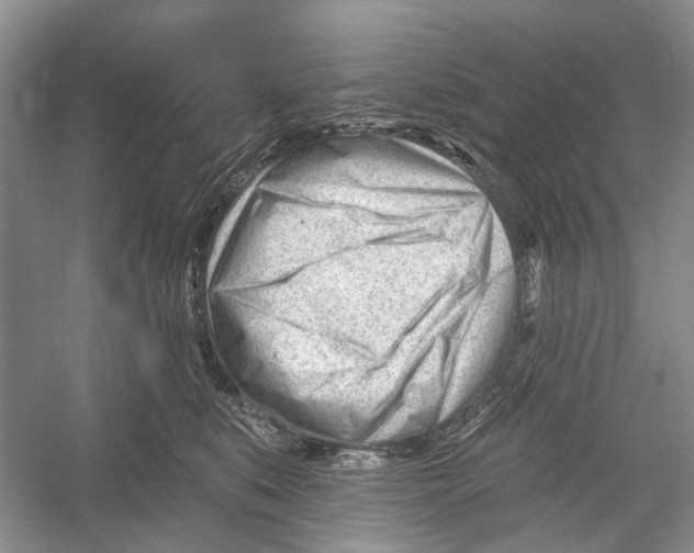 X0000052940519200508050859