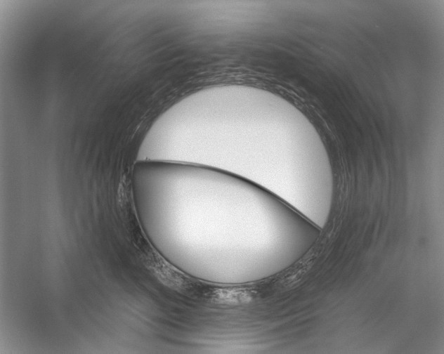 X0000052940520200508050859