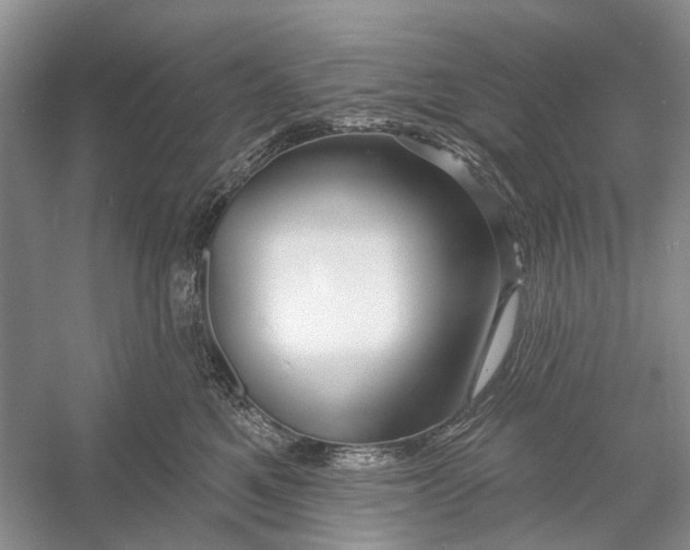 X0000052940521200508050859