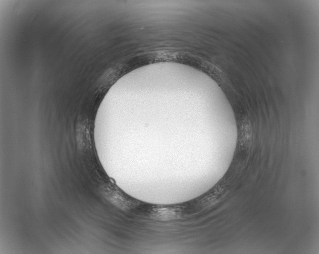 X0000052940522200508050859