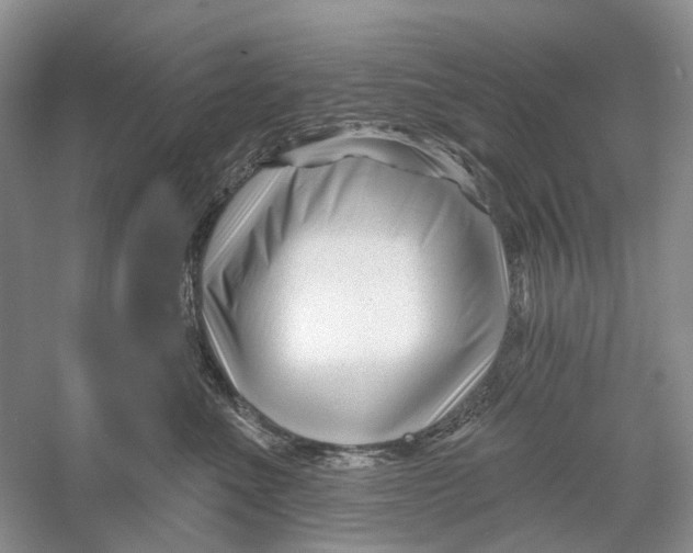 X0000052940523200508050859