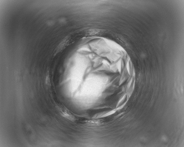 X0000052940524200508050859