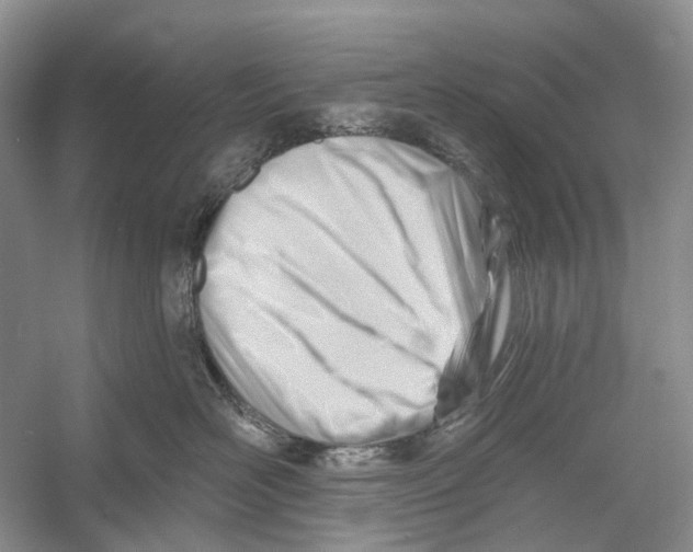 X0000052940526200508050859