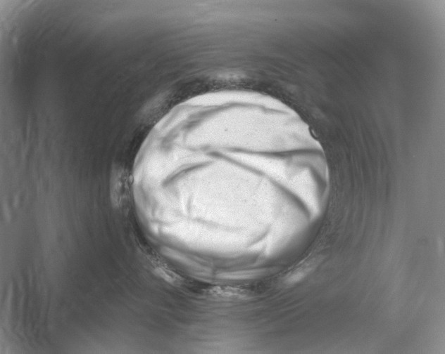 X0000052940528200508050859