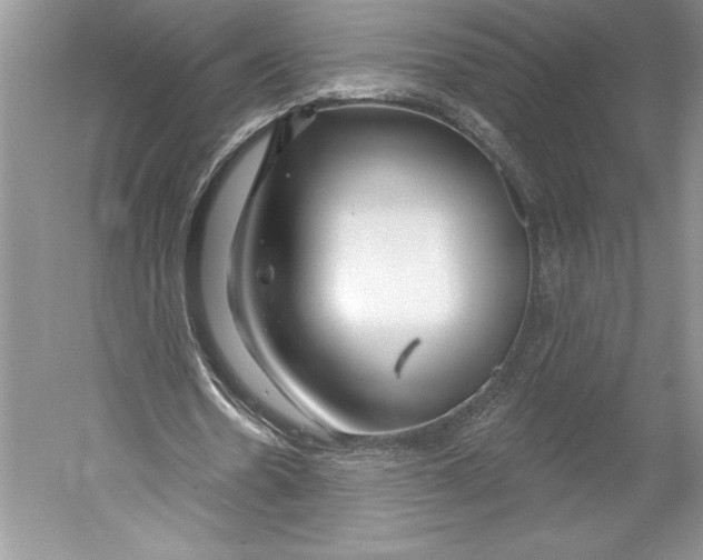 X0000052940530200508050858