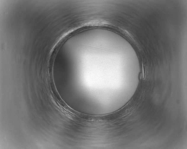 X0000052940531200508050858