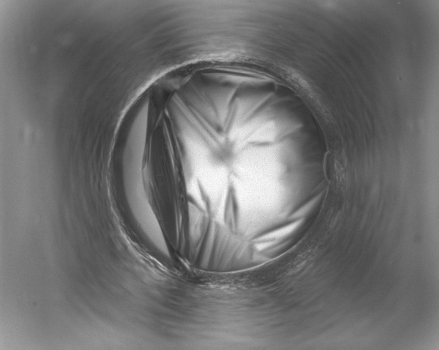 X0000052940532200508050858