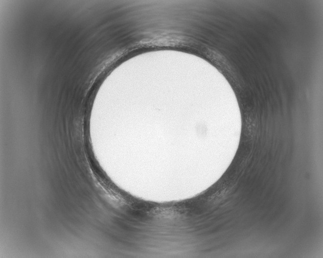 X0000052940534200508050858