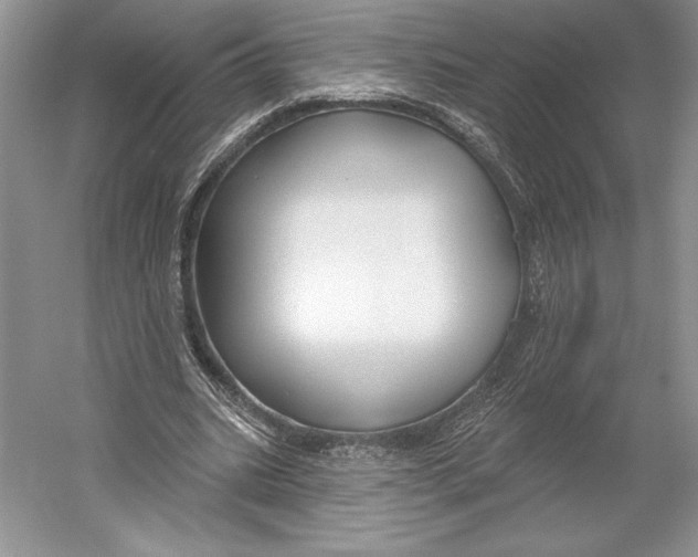 X0000052940535200508050858