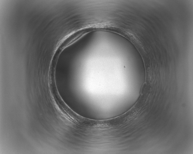 X0000052940536200508050858