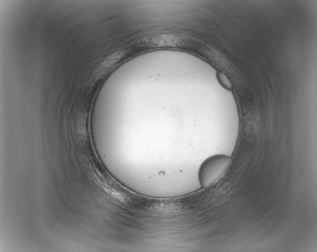 X0000052940537200508050858