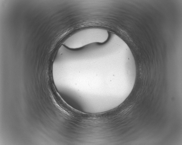 X0000052940538200508050858