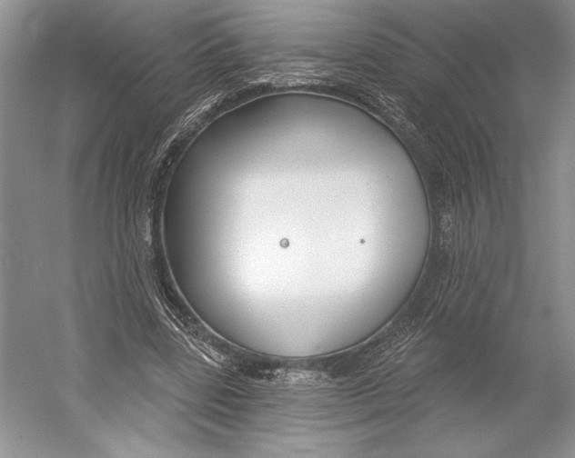 X0000052940539200508050858