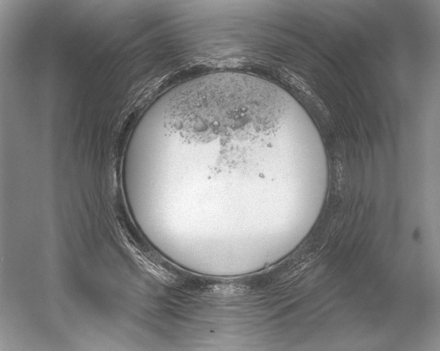 X0000052940541200508050858