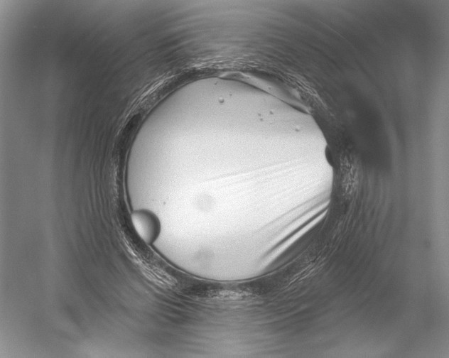 X0000052940542200508050858