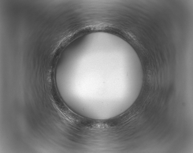 X0000052940543200508050858