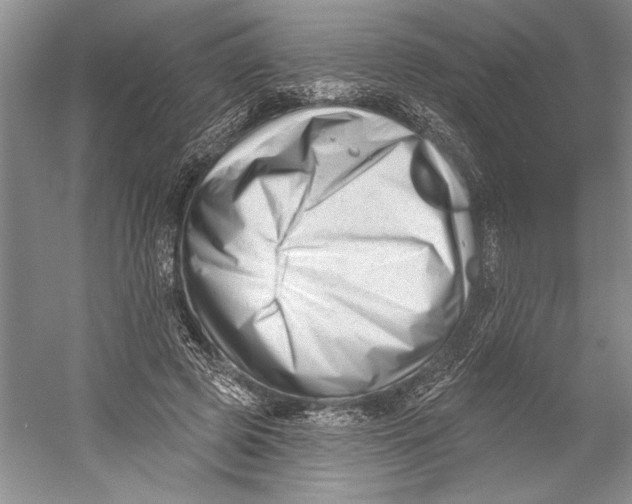 X0000052940545200508050858