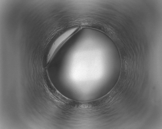 X0000052940546200508050858