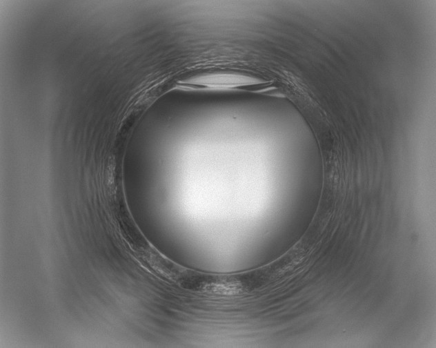 X0000052940548200508050858