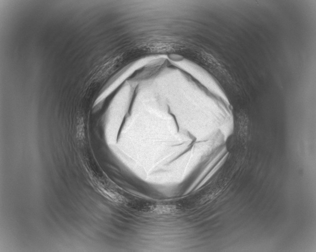 X0000052940549200508050858