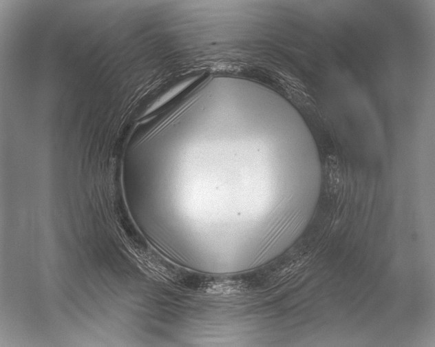 X0000052940550200508050858