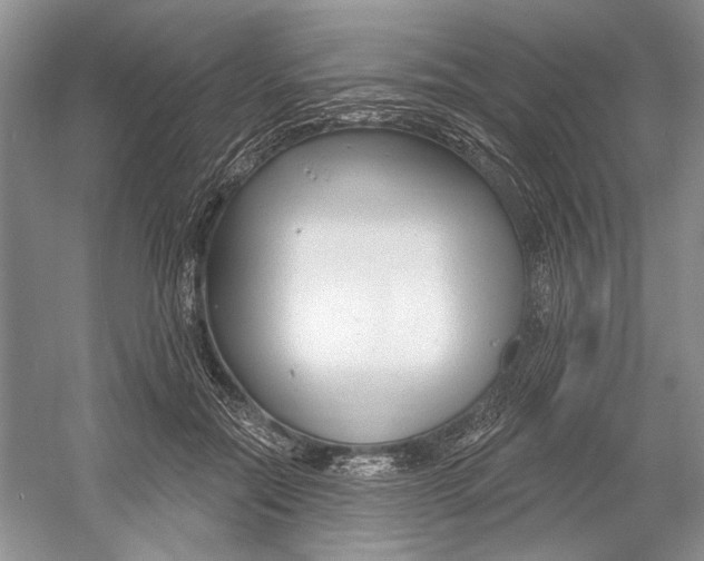 X0000052940554200508050858