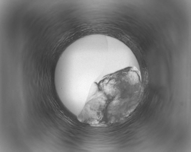 X0000052940557200508050858