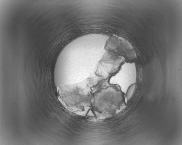 X0000052940561200508050858