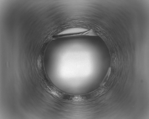 X0000052940562200508050858