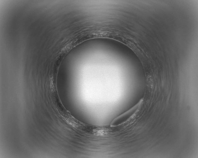 X0000052940564200508050859